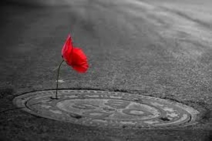 “Ey dünyanın bütün tinercileri, birleşin ve komünistleşin”