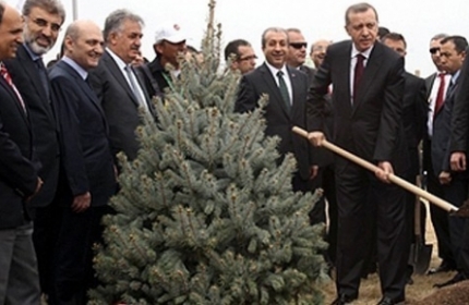 Erdoğan: Yeşile Hayranım, Hastayım