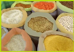 Ortadoğu en fazla gıda ithal eden bölge