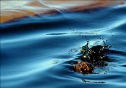 Petrol sızıntısı iki kat arttı