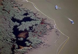 ABD ile BP arasında ipler gerildi