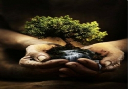 Kadınların emek melodisi!