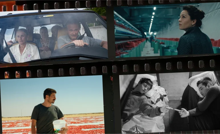 SİYAD, belgesel, kısa ve fantastik film adaylarını açıkladı