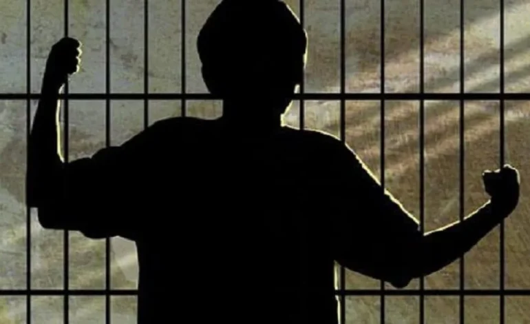 Daltonlar’da yeni bölüm: Para mı kurşun mu?