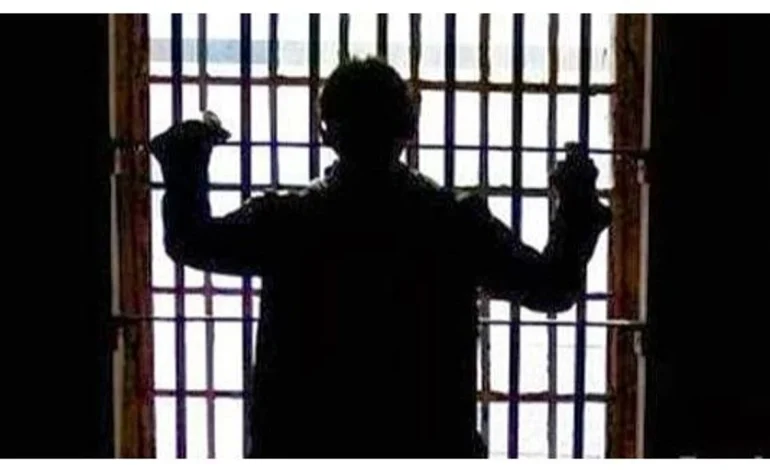 Türkiye’de Çocuk Suçluluğu Üzerine